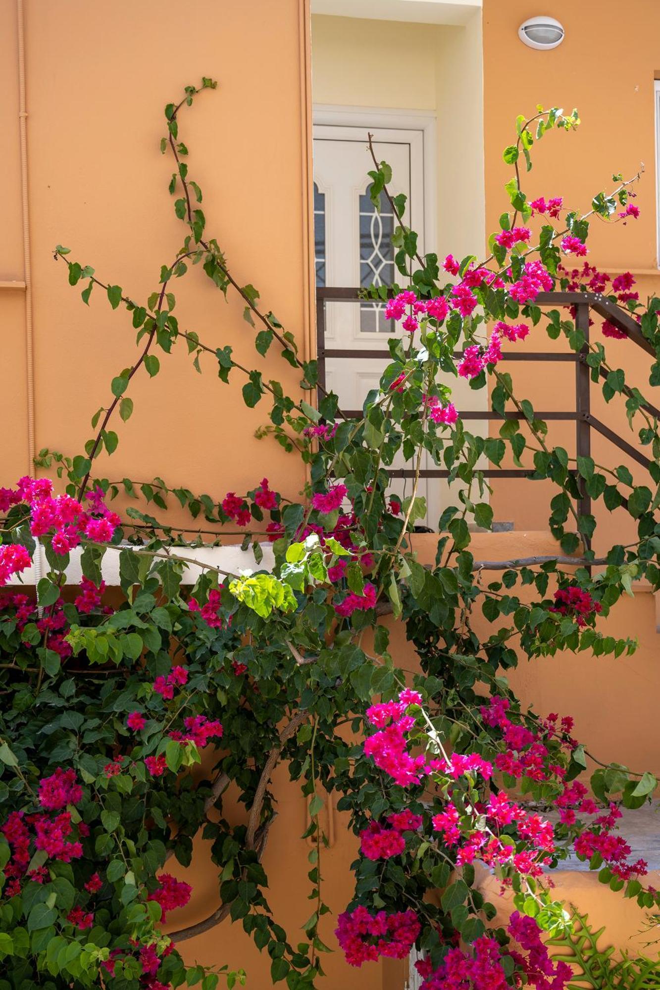 Katerina Rooms & Studios Palekastro Exterior foto